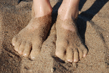 Similar image 225326