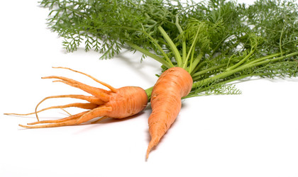 Similar image 225333