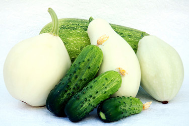 Similar image 225341