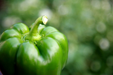 Similar image 225345