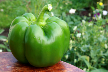 Similar image 225370