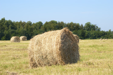 Similar image 225372