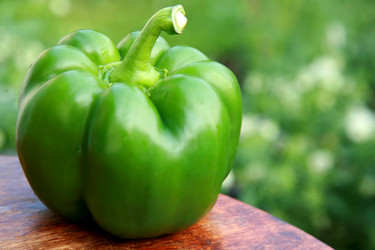 Similar image 225373