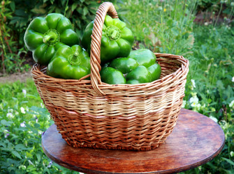 Similar image 225460