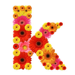 Similar image 225483