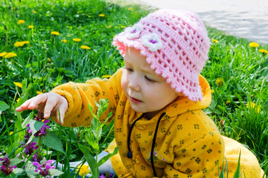 Similar image 225534