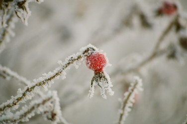 Similar image 225552