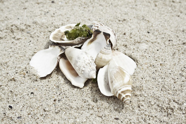 Similar image 225570