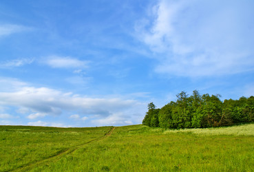 Similar image 225611