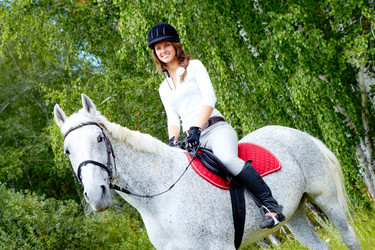 Similar image 225620