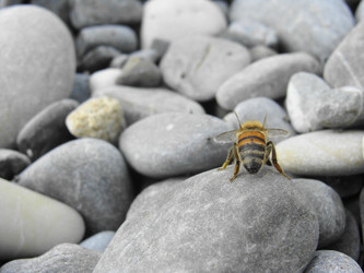 Similar image 225628