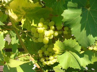 Similar image 225629