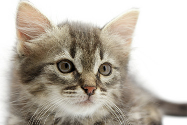 Similar image 225640