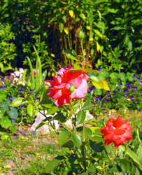 Similar image 225647