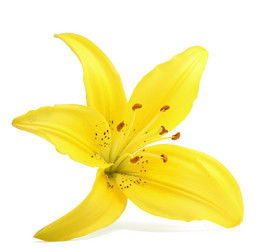 Similar image 225672