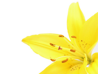 Similar image 225673