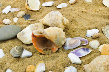 Similar image 225703