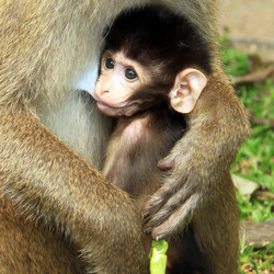 Similar image 225709