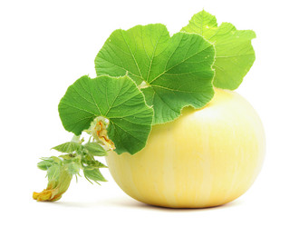 Similar image 225745