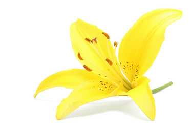 Similar image 225760