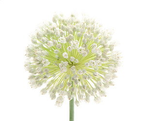 Similar image 225779