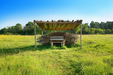 Similar image 225790