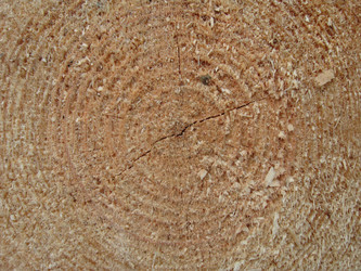 Similar image 225802