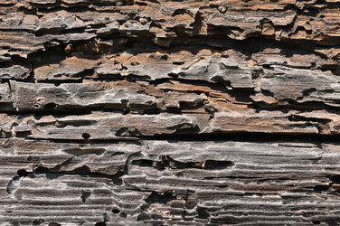 Similar image 225803