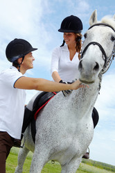 Similar image 225857