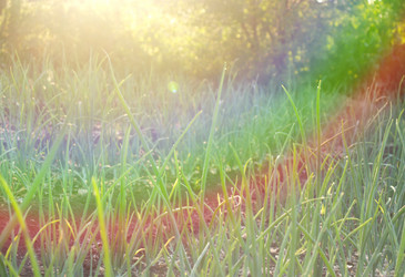 Similar image 225944