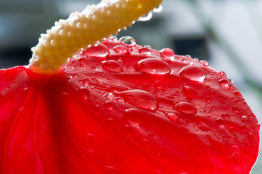 Similar image 225950