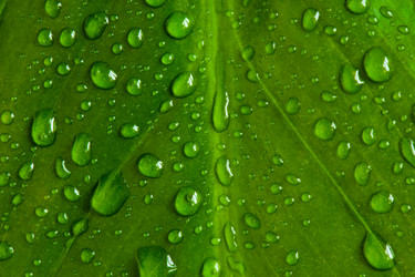 Similar image 225978