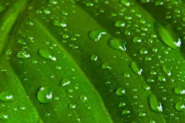 Similar image 225979