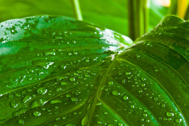 Similar image 225980