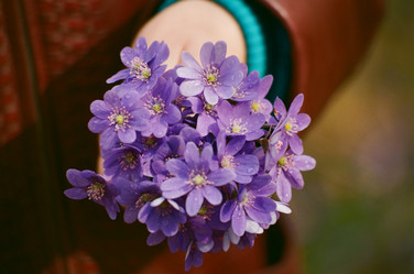 Similar image 225987