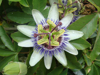 Similar image 225988