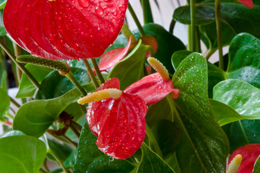 Similar image 225991