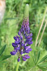 Similar image 225993