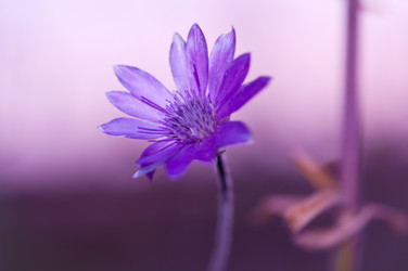 Similar image 226021