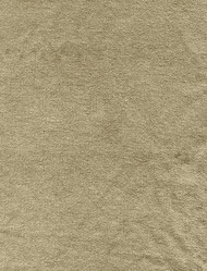 Similar image 226081