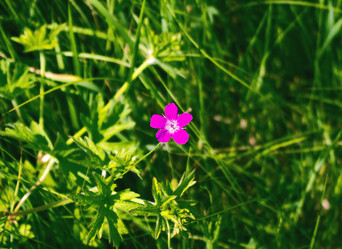 Similar image 226088