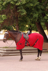 Similar image 226089