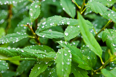 Similar image 226112