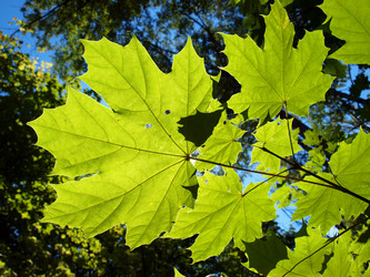 Similar image 226113