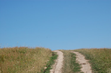 Similar image 226114