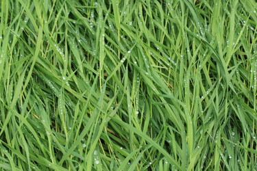 Similar image 226115