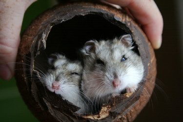 Similar image 226119