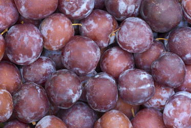 Similar image 226128