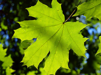 Similar image 226136