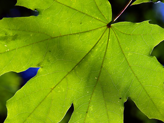 Similar image 226137